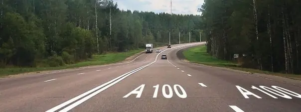 Дорожная ситуация: Что обозначает разметка А100, нанесенная на проезжую часть дороги?